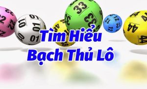 Bạch thủ lô là gì? Cách nuôi lô khung 2 ngày, 3 ngày chuẩn 07/2022